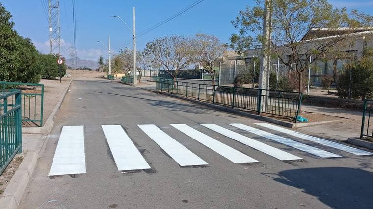 Paso peatonal (cebra)
